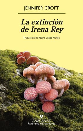 LA EXTINCION DE IRENA REY. 9788433946768