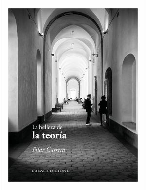 LA BELLEZA DE LA TEORÍA